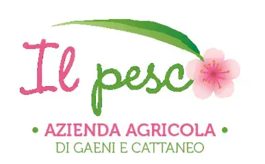 IlPescodigaeniecattaneo